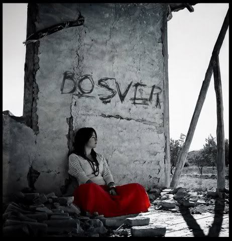 bosver.jpg