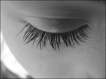brock_eyelash_360x270.jpg