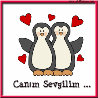 canmsevgilimgp5.gif