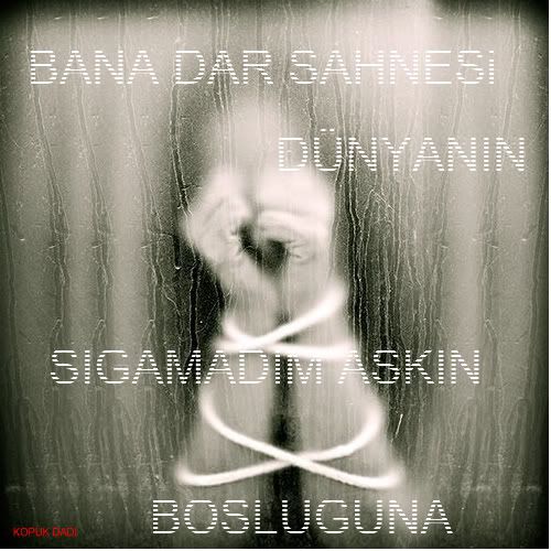 dar.jpg