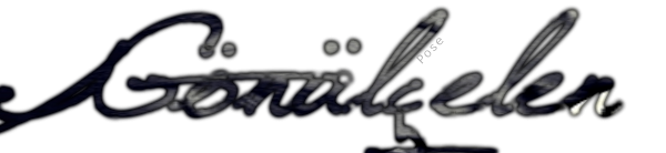 gc1.png