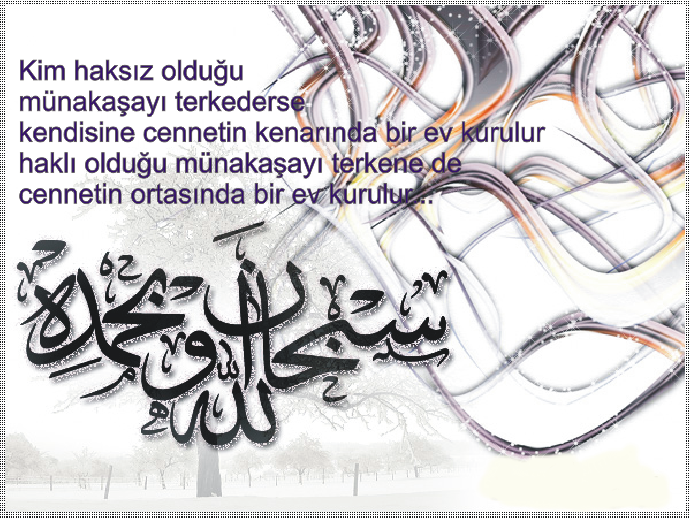 hadis3bvrr9.png