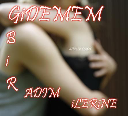 ilerine.jpg