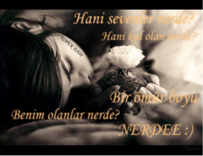nerde.jpg
