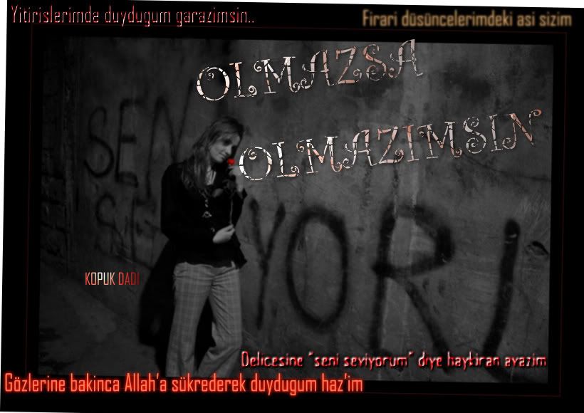 olmaz.jpg