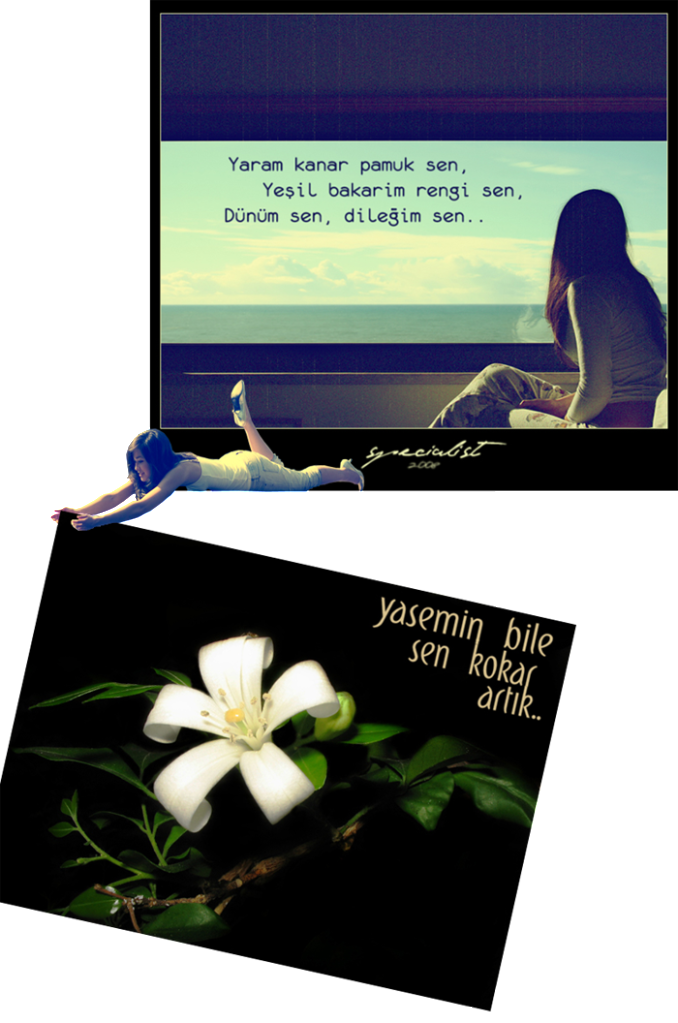 senisen.png