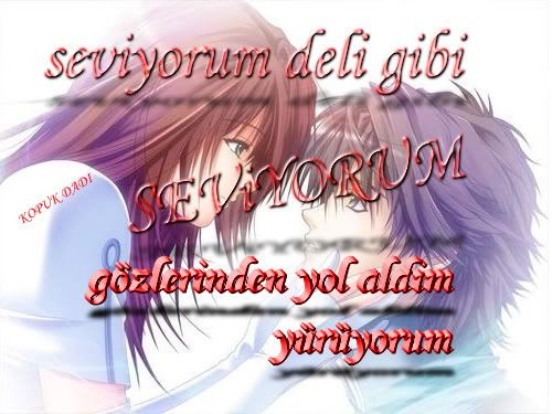 seviyorum.jpg