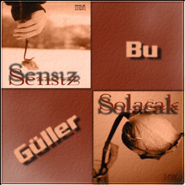 sk6.jpg