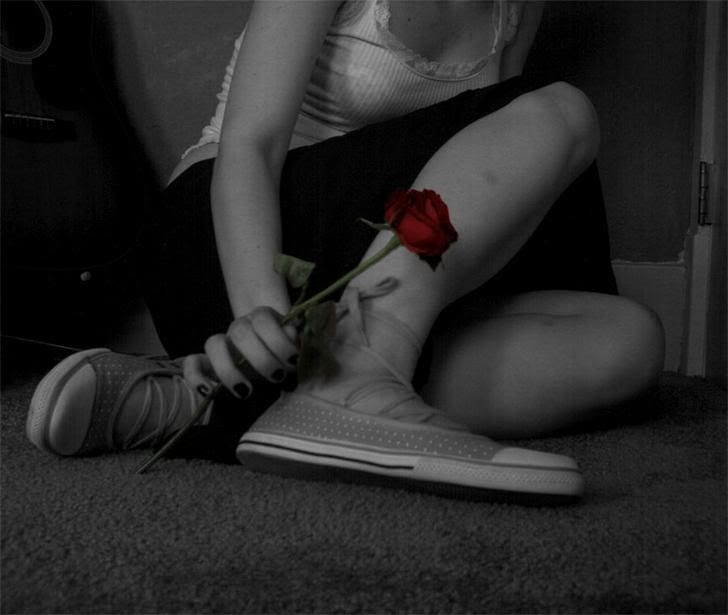 solitarysrosebythesweetzn9.jpg