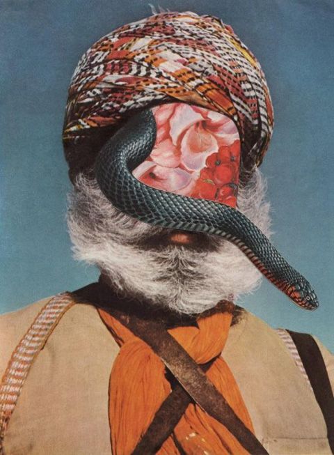 photo David-Delruelle-snakeface-collage-e1403716931557_zps9545f4f8.jpg