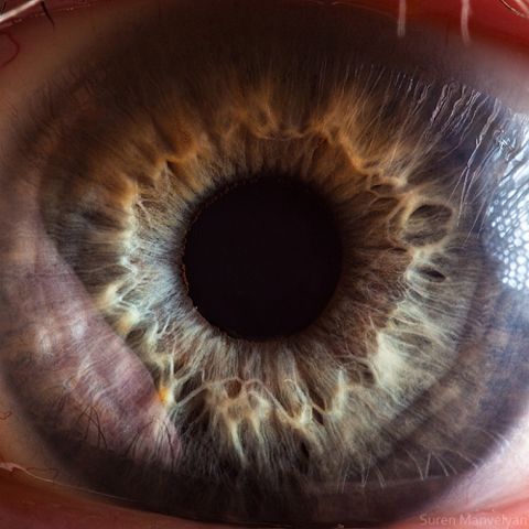 photo 91_zps4d9b8dd2.jpg