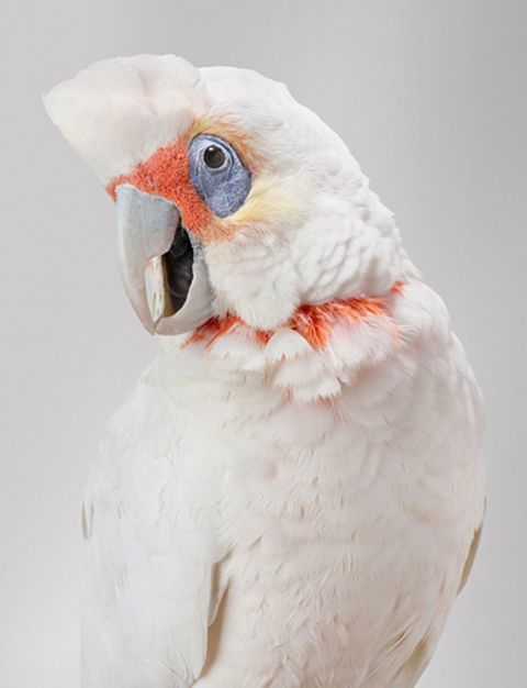photo Bob-new1_zps1f5ca5ee.jpg