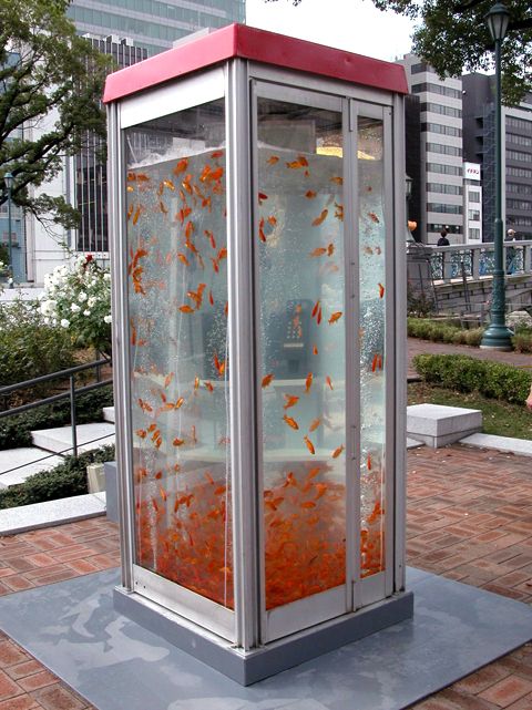 photo Goldfish-Phone-Booth-Aquarium-1_zpse671c38a.jpg