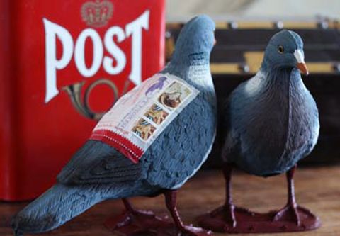 LWA The Pigeon Post
