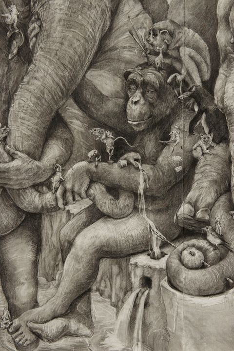 Adonna Khare artwork and Drawings Animal life 