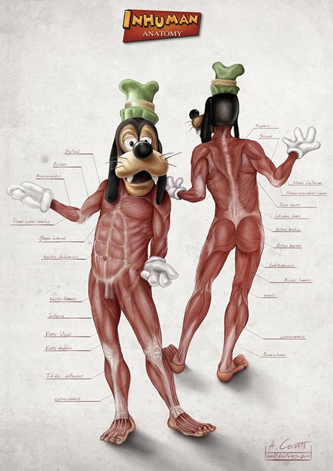 photo goofy-s-anatomy-by-alessandroconti-1_zps3045da21.jpg