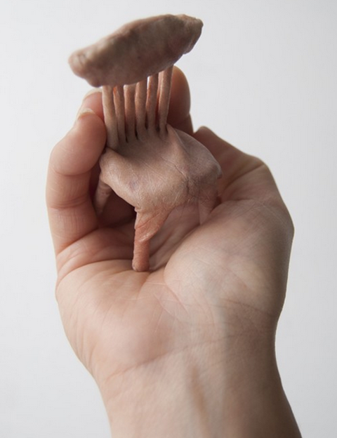 photo image-8_zpsb7ba2de7.png