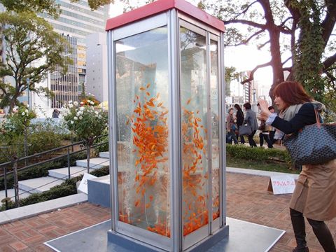 photo phone-booth-fish-aquarium-1_zps00294b65.jpeg
