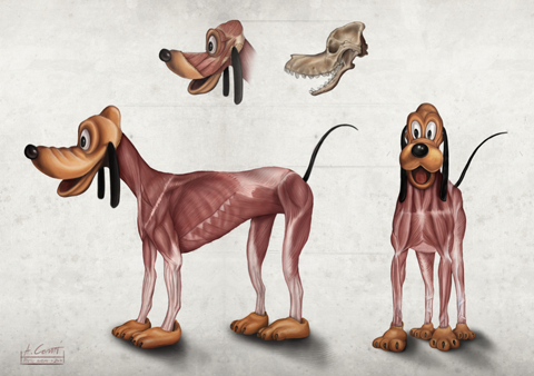 photo pluto_s_anatomy_by_alessandroconti-d5swr07_zps69e5afa2.png