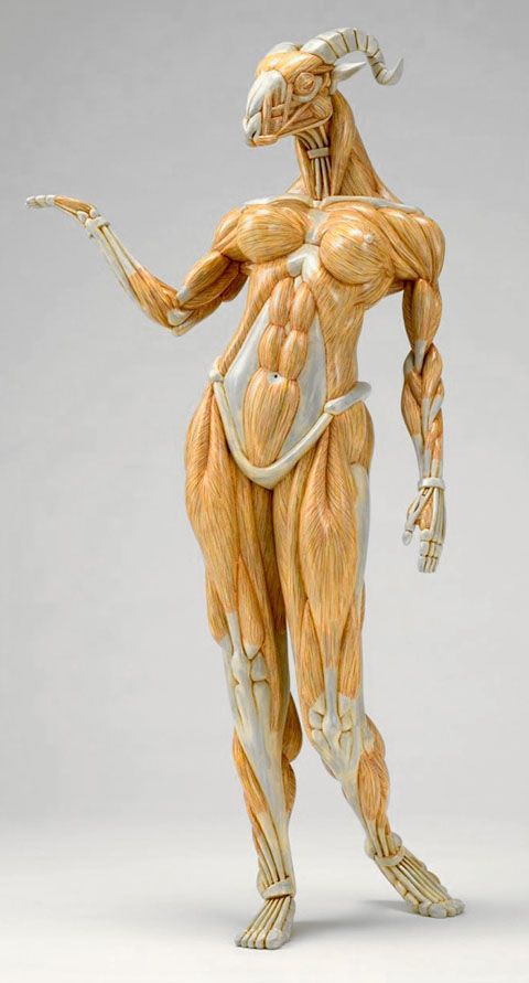 photo MAENAD1_zps76e4f9e5.jpg