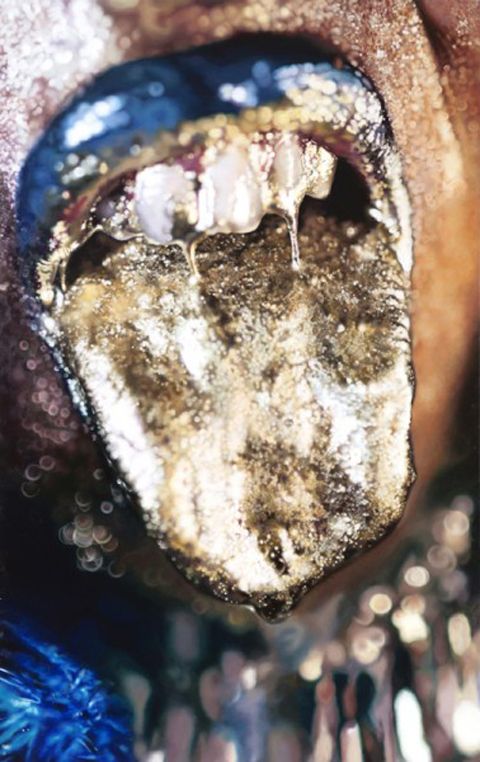 photo MarilynMinter_GoldlicksWangechiMutu-e1337883030510_zps4d8f8f5c.jpg