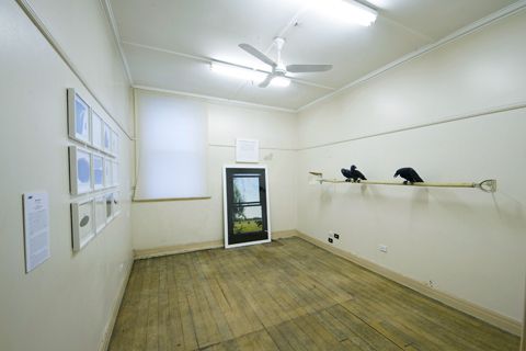 photo migration-melb-2012-008_opt_zps27b40d0c.jpg
