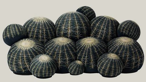 photo 43b05_cactus-3_zps64f7efcc.jpg