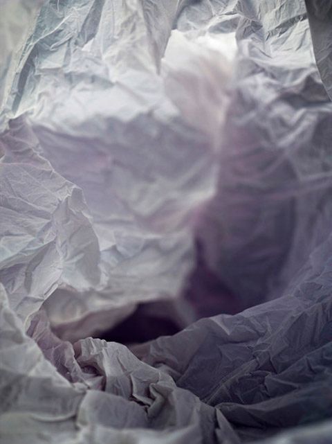 photo Plastic-bag--25-web_400_zps7cd87d7f.jpg