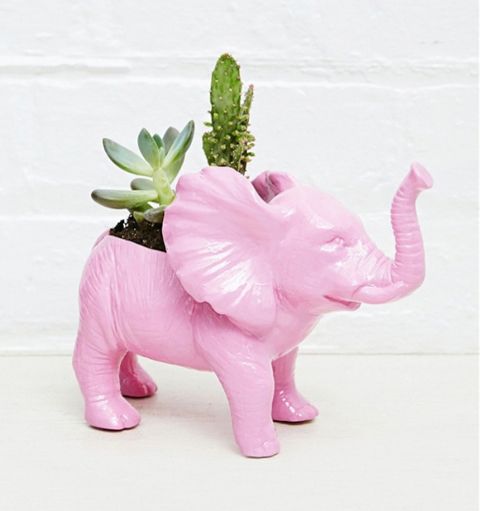 photo Urban-Grow-Elephant-Planter_zps69cb9127.jpeg