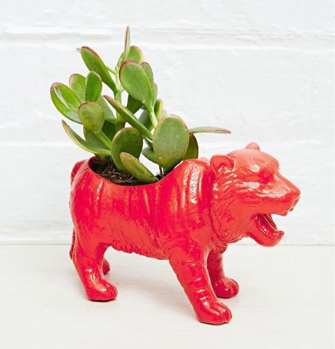 photo Urban-Grow-Tiger-Planter-in-Red_zpscbbc6ee4.jpeg