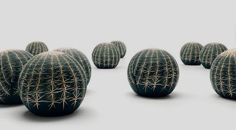photo canape-cactus-couch3_zps58ecb8cc.jpg