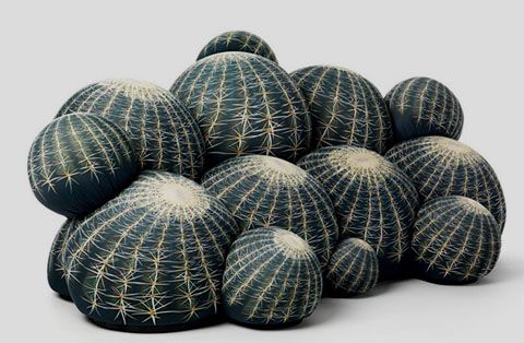 photo canape-cactus-sofa_zps3045d3f6.jpg