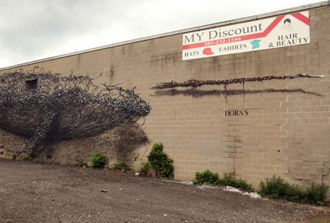photo daleast-discount-evolutionrochester-ny-usa20127b_zps56c85dcf.jpg