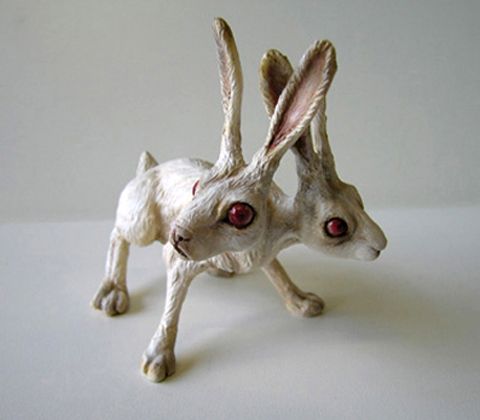 photo double_bunny_zpsfe25d758.jpg