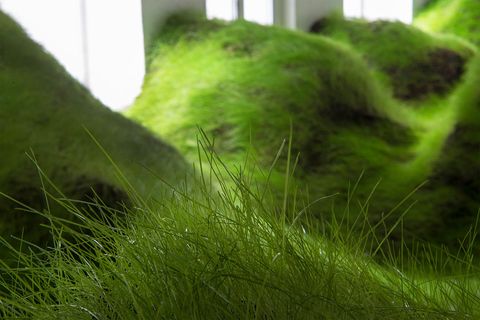 photo per-kristian-nygard-not-red-but-green-olso-02_zpsdcd2f531.jpg