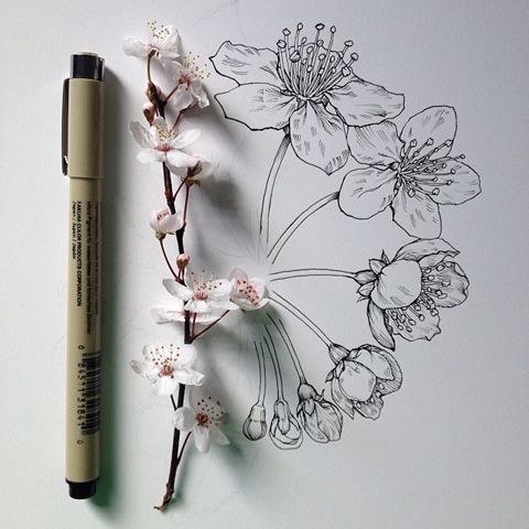 photo tumblr_n0ur3jqV7M1qj6juso2_1280_zpsb76b6296.jpg