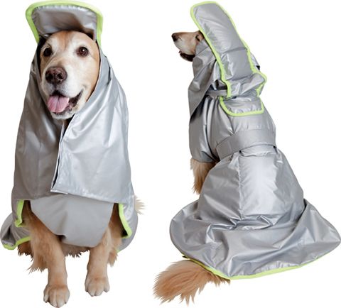 photo dog-suit-2_zpsa76f8dcf.jpg