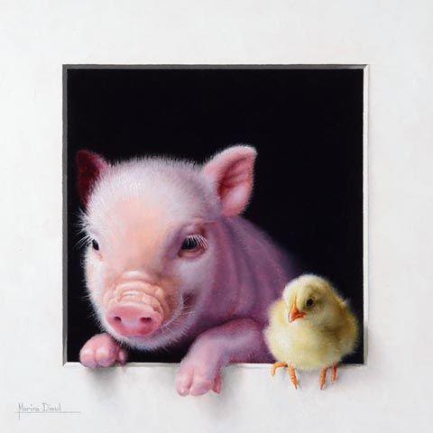 photo Marina-Dieul_Cochon-5_oil_12x12_web_zps878fd63e.jpg