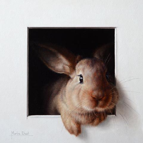 photo Marina-Dieul_Lapin-IV_Oil_9x9_web_zps14d98252.jpg