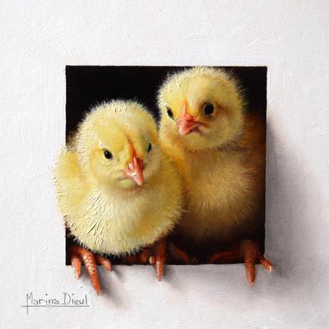 photo Marina-Dieul_Poussins-1_Oil_6x6_web_zps2aaf5788.jpg