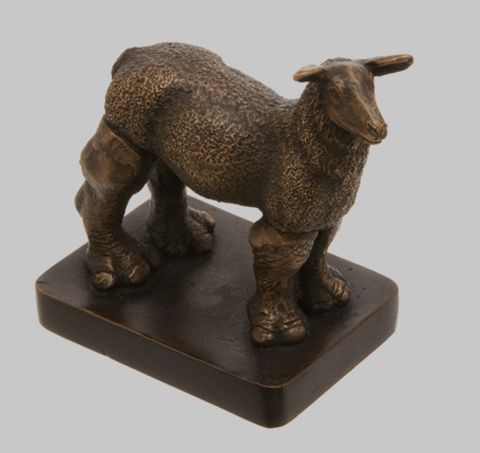 photo Ovis-Rhinocerotidae-Tetrapod_zpsf4dc41ca.jpg