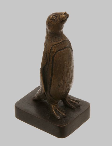 photo Pinniped-Spheniscidae_zps9dec5747.jpg