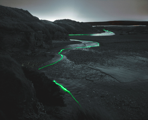 photo a6f02e078fa8abbb7338ed7b36730b19_zpsa86f8c72.png