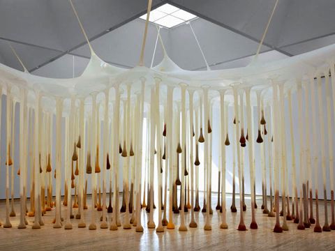 photo ernestoneto3_zps80b4df99.jpg
