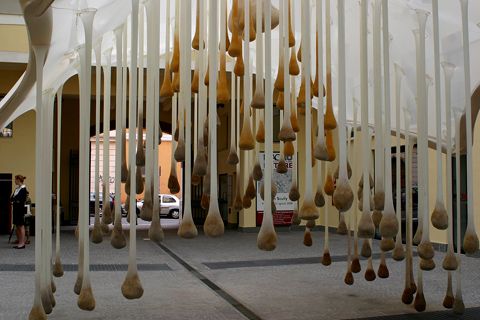 photo ernestoneto4_zpscc7f3d23.jpg