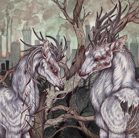 photo image1_zps66840072.png