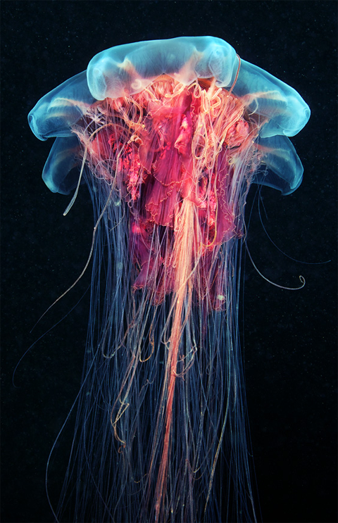 photo image3_zps461c4894.png
