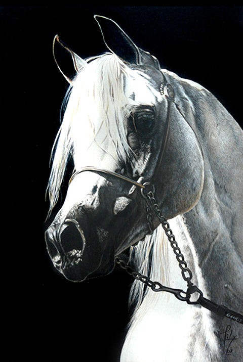 photo image4_zps5a71401c.png