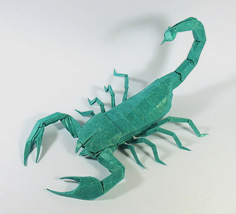 photo image5_zpsbcd88a1c.png