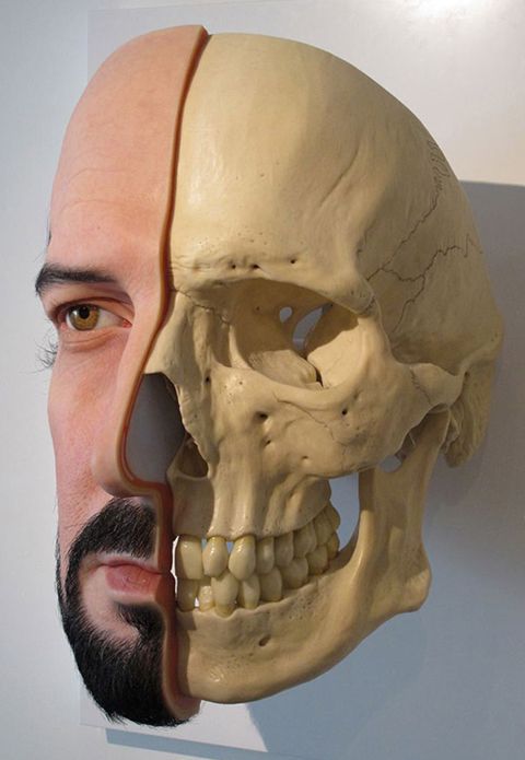 photo jinks-Calcium-divide-02_zpsepdv1xoi.jpg